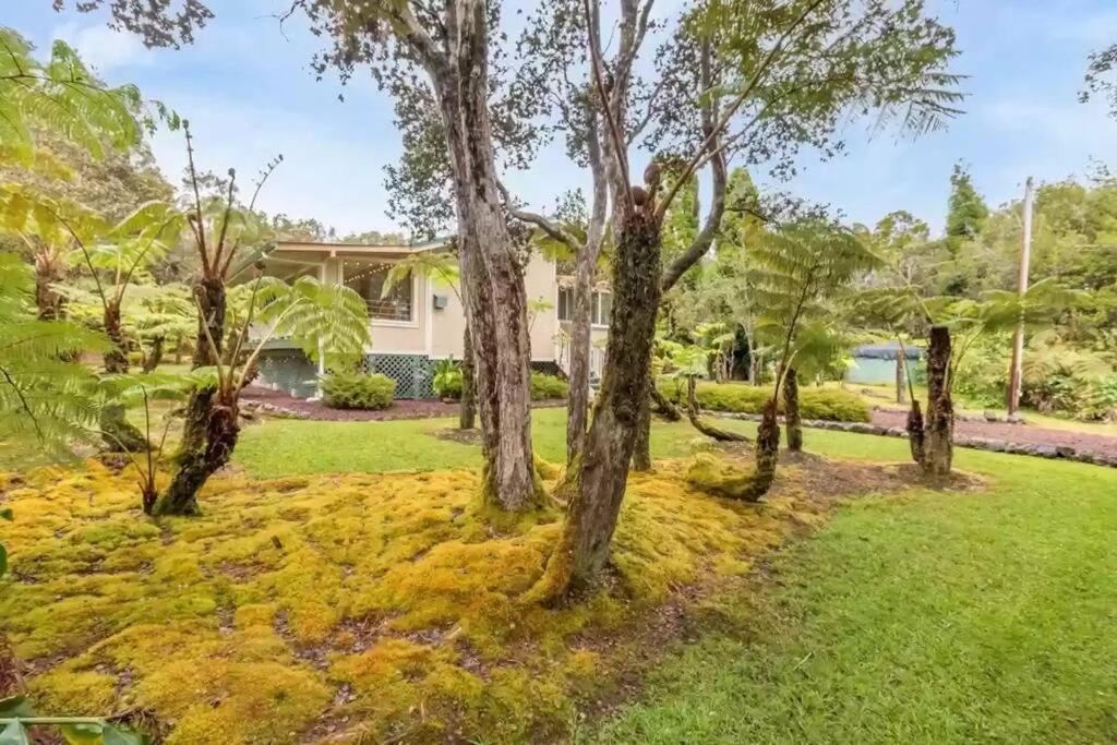 Hau'Oli Place Tiki Cottage In Volcano Εξωτερικό φωτογραφία