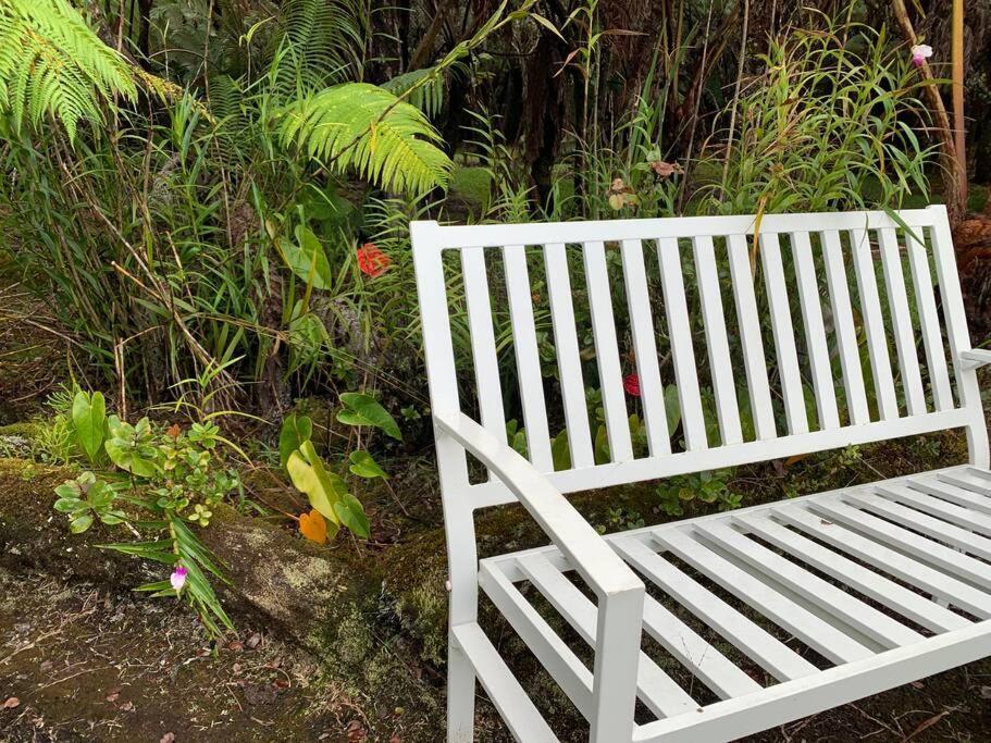 Hau'Oli Place Tiki Cottage In Volcano Εξωτερικό φωτογραφία